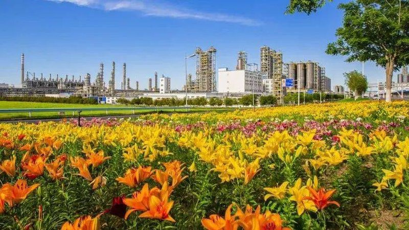 小型化工厂代理加盟：投入门槛背后的真实账本